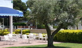 Bay Hotel