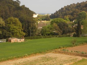Can Rosich