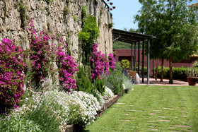 Castell de l'Oliver