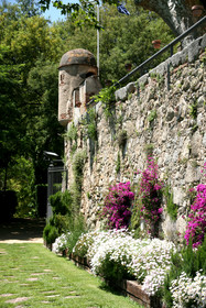 Castell de l'Oliver