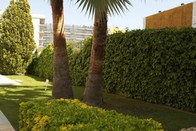 Apartments Somni De Cambrils