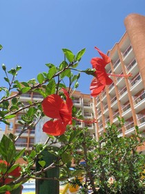 Ohtels Belvedere