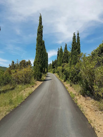 Mas del Sord