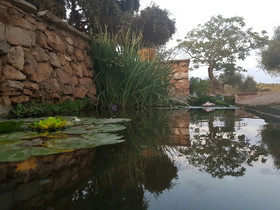 Mas del Sord