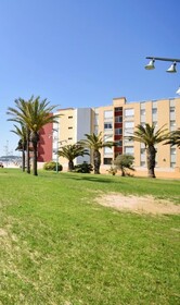 Pineda
