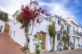 Casa Caballito De Mar