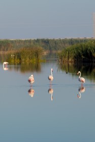 Hotel AR Golf Almerimar