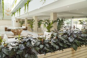 Cabogata Jardin