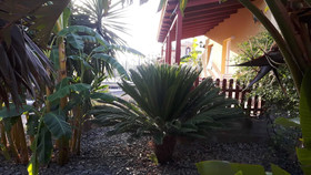 Casas El Jabali