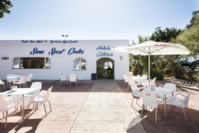 Best Oasis Tropical