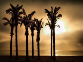 Apartamentos Estrella de Mar