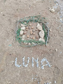 The Farm Tiny House Tiny Casa