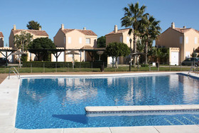 Violetas De Mar
