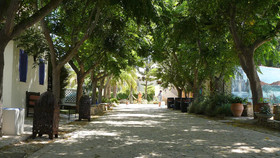 Paraiso Perdido