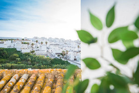 La Sultana De Vejer