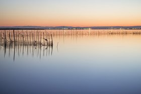 Aparthotel Albufera