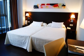 Sercotel Hotel Plana Parc