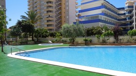 Apartamentos Bonaire 3000