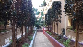 Costa Caribe II by ACV