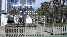 Tamarindos