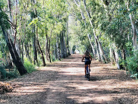 Kampea Playa De Gandia