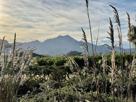 Kampea Playa De Gandia