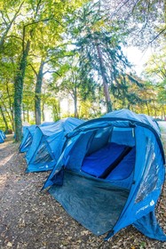 La Tomatina Festival