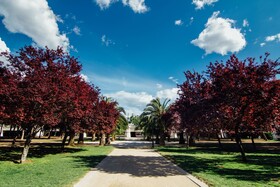 Anderson City Flats
