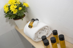 Apartamentos Botánico 29