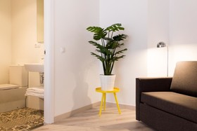 Apartamentos Wallace