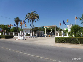 Camping Coll Vert