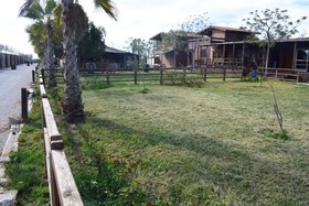 Escuela Albufera