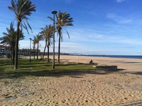 Turia