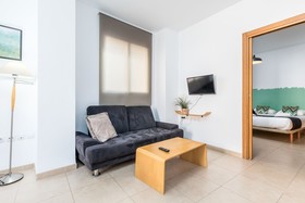 VLC Downtown Flats