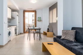 VLC Downtown Flats