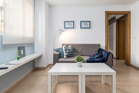 VLC Downtown Flats
