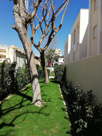 Solmar II
