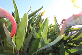 El Palacete del Corregidor