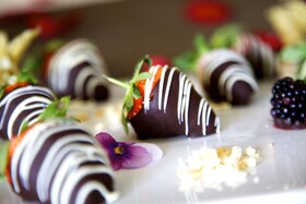 Vincci Selección Aleysa