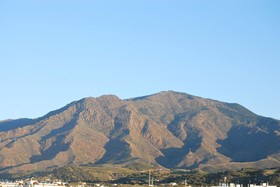 Buenavista