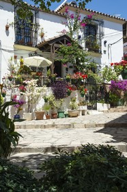 Bakour Oh Nice Costa del Sol