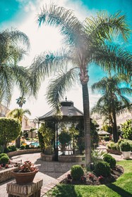 Aloha Gardens