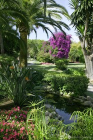 Don Carlos Resort