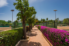Puente Romano Marbella