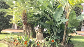 Mi Capricho Beach Apartments