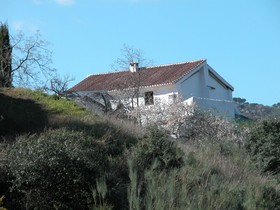 Finca Serrato