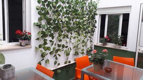 Málaga Centro Hostel