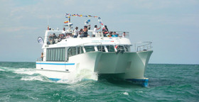 Teatro Plaza Apartments