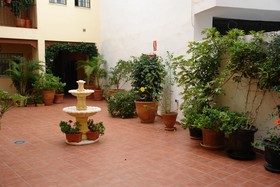 Carabeo 2000
