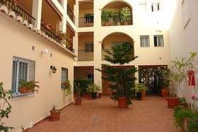 Carabeo 2000